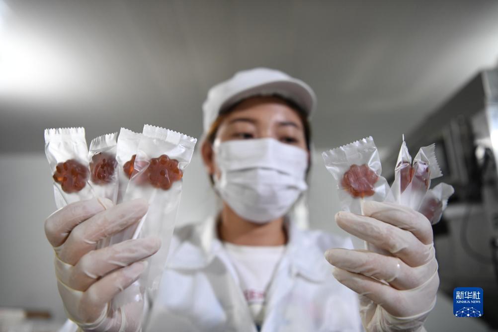 免费送彩金的娱乐网址不限id